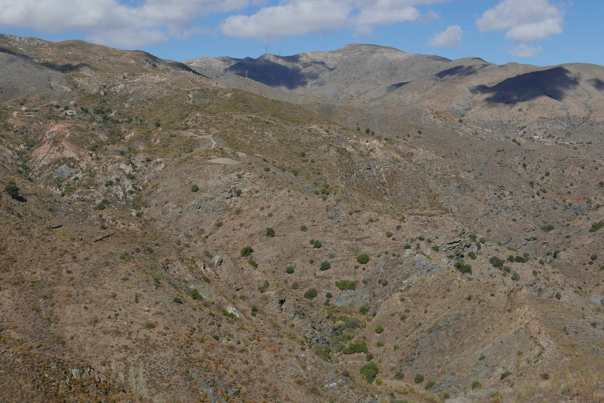 p1100873.jpg