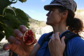 p1100871.jpg