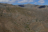 p1100873.jpg