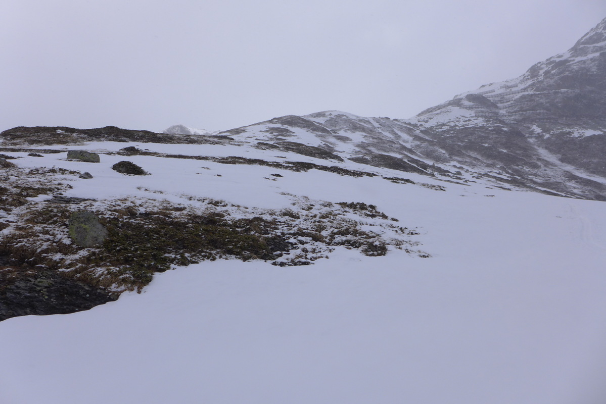 p1060884.jpg