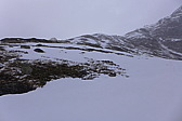 p1060884.jpg