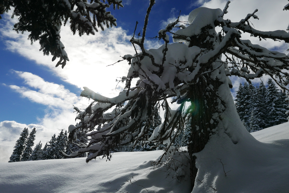 p1100897.jpg
