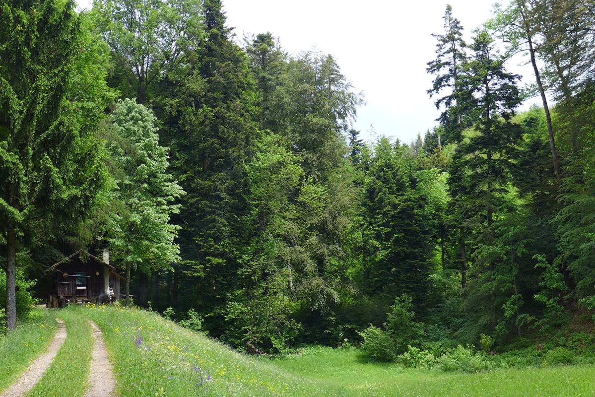 p1070076.jpg