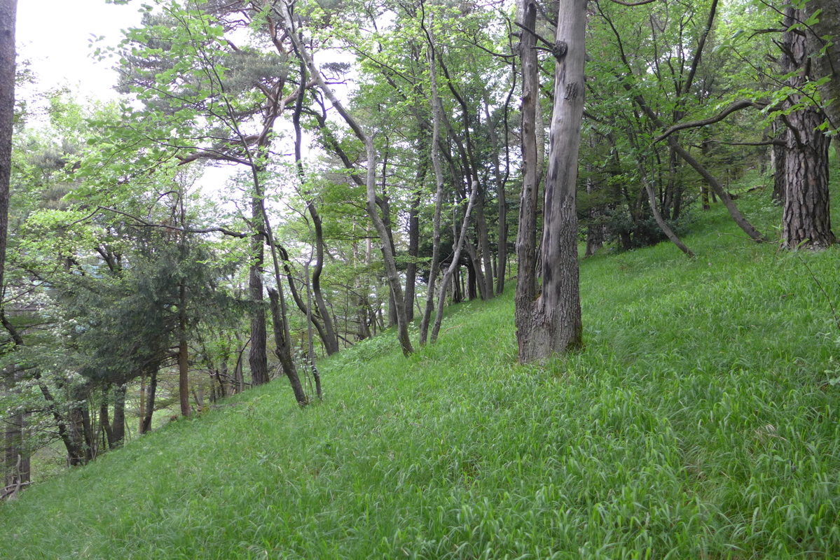 p1070088.jpg