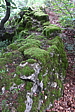 p1070084.jpg