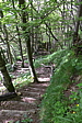 p1070102.jpg