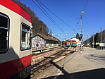 img_0497.jpg