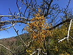 img_0501.jpg