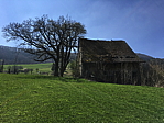 img_0504.jpg