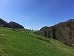 img_0507.jpg