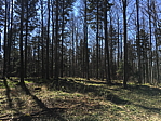 img_0508.jpg