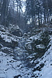 p1150739.jpg