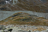 p1130759.jpg