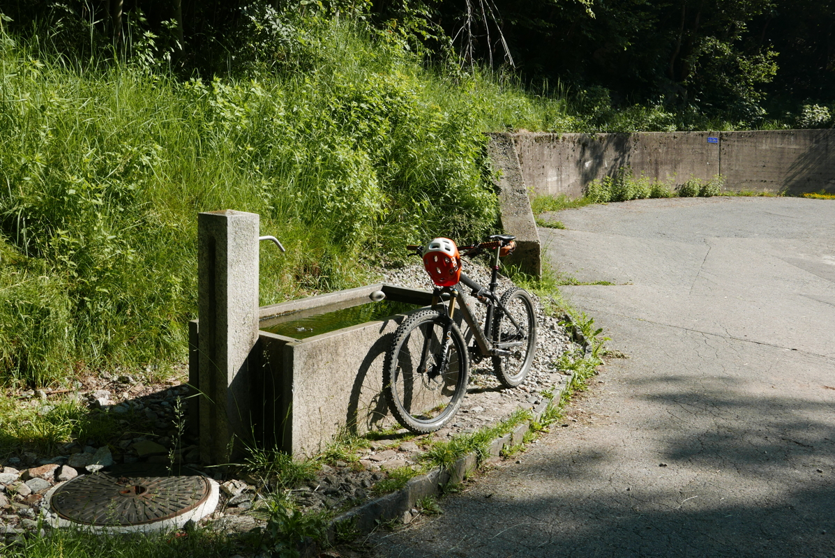 p1120544.jpg