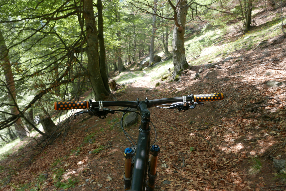 p1120553.jpg