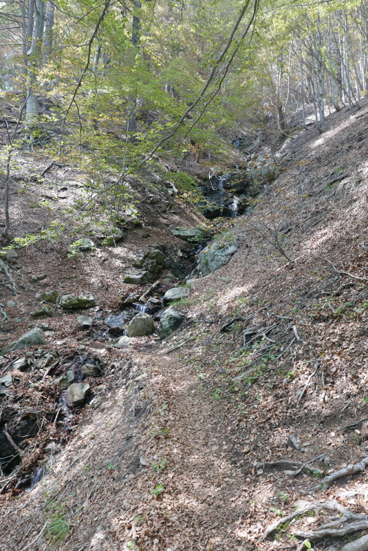 p1120554.jpg