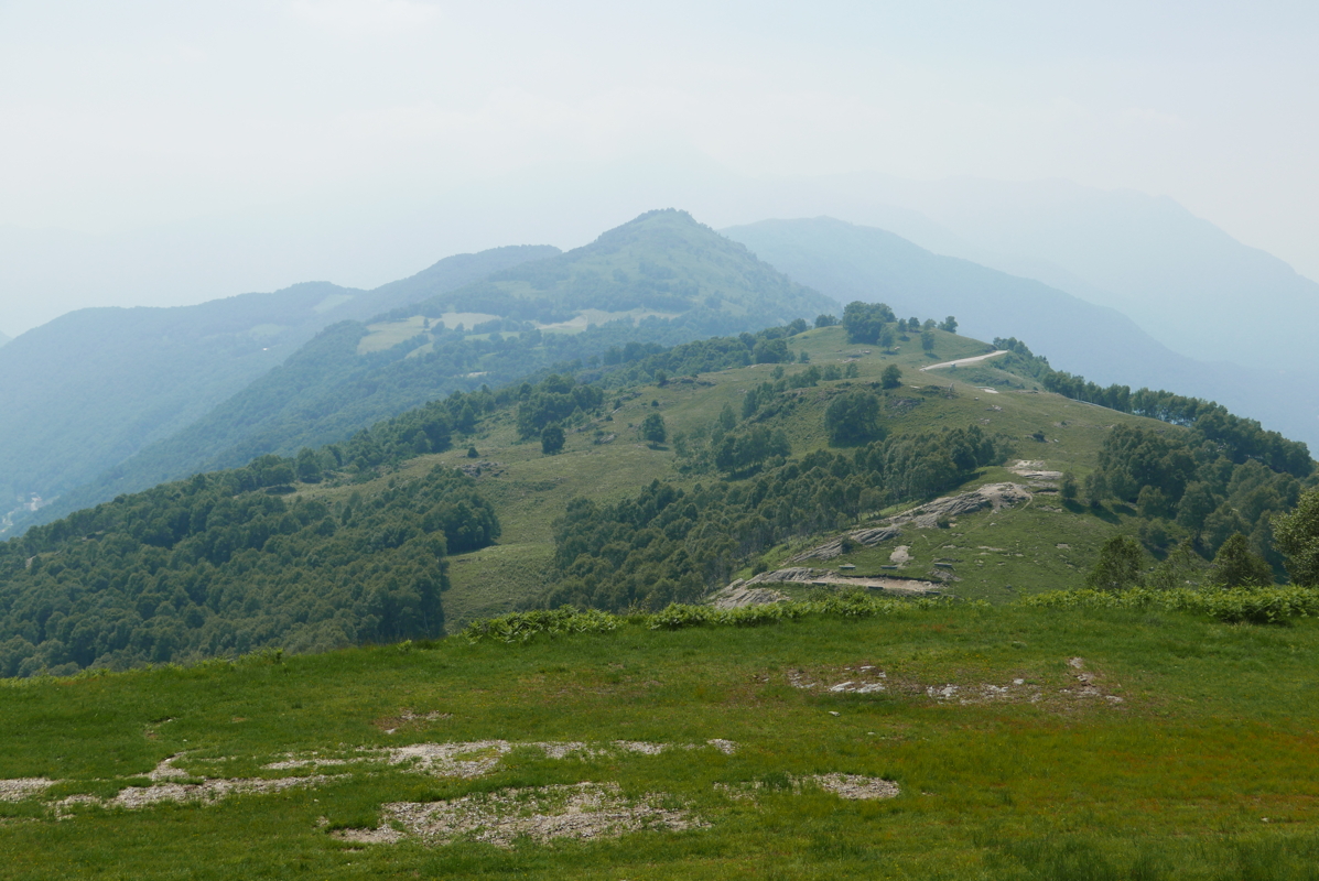 p1120555.jpg