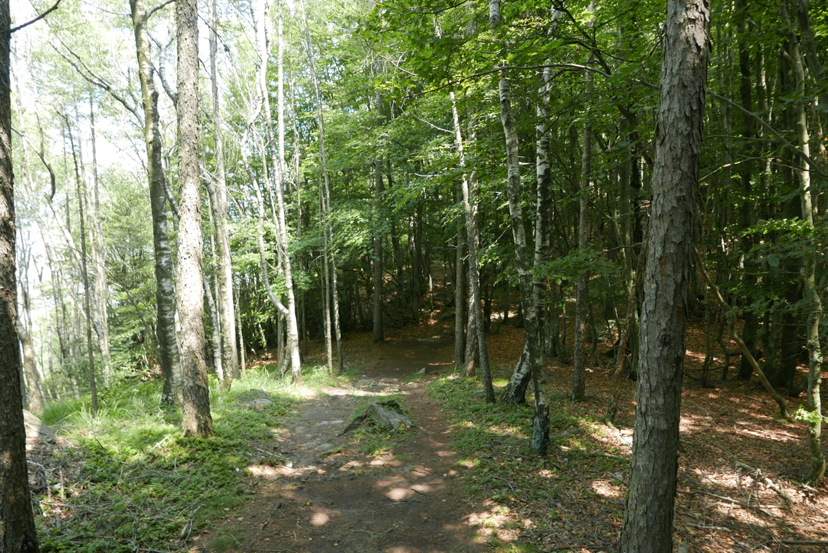 p1120556.jpg