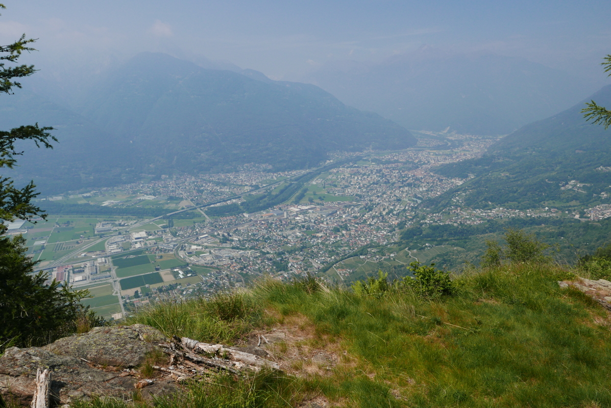p1120557.jpg