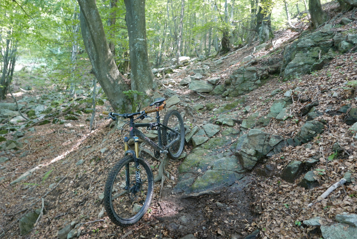 p1120558.jpg
