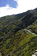 p1120548.jpg