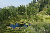 p1120551.jpg
