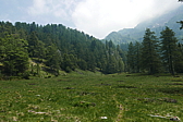 p1120552.jpg
