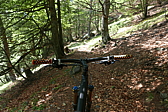 p1120553.jpg