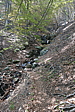 p1120554.jpg