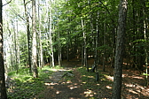 p1120556.jpg
