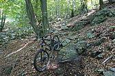 p1120558.jpg