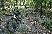 p1120559.jpg