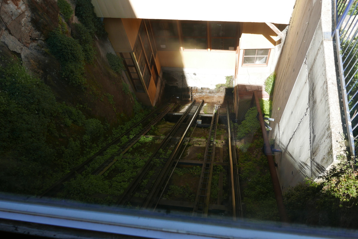 p1140155.jpg