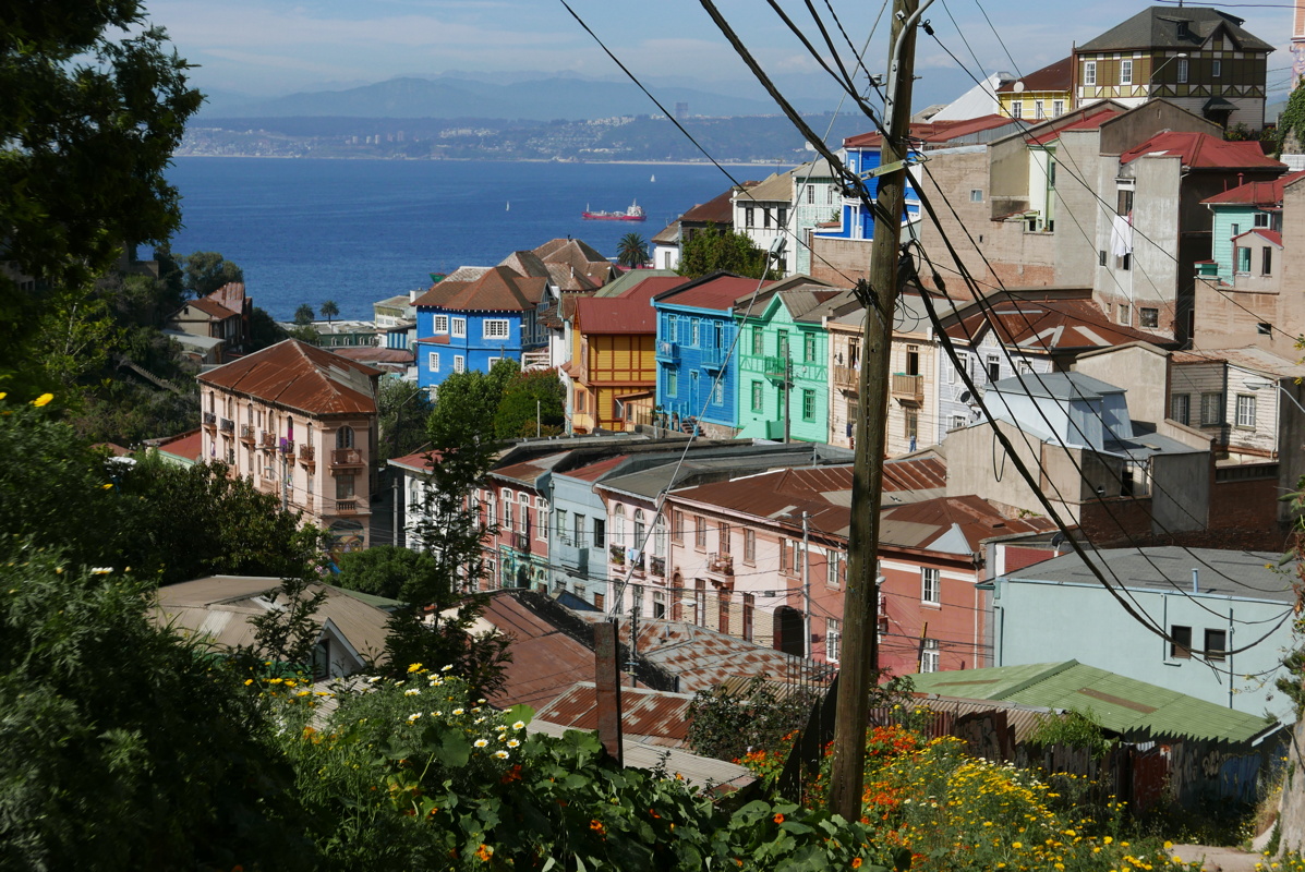 p1140174.jpg