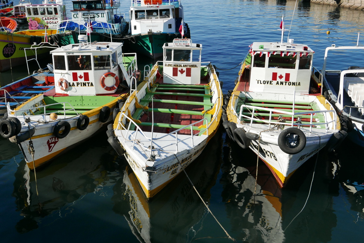 p1140188.jpg
