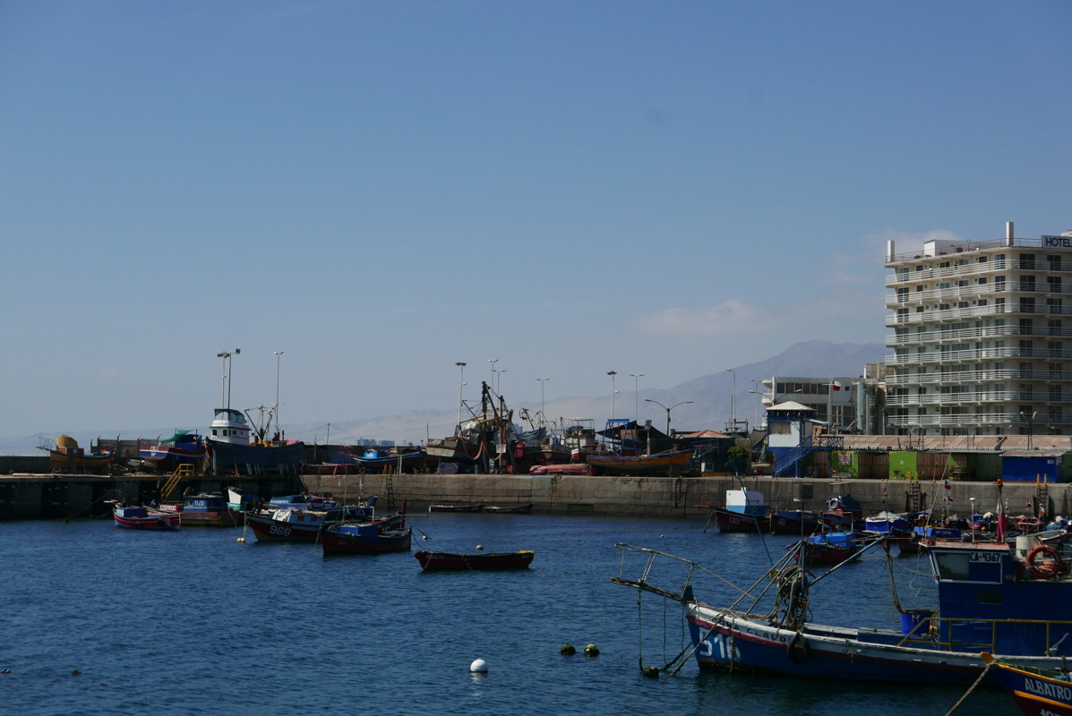 p1140240.jpg
