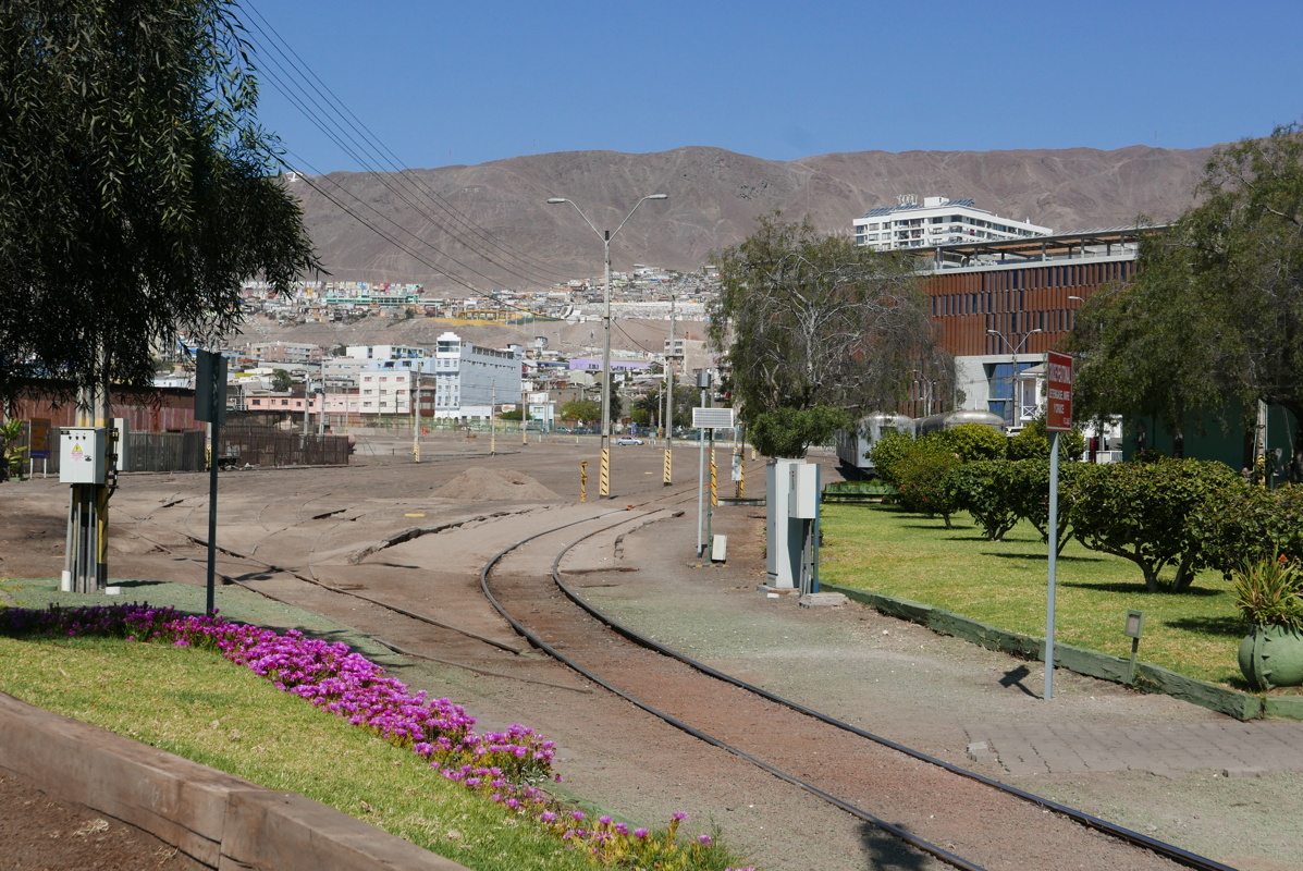 p1140244.jpg
