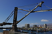 p1140239.jpg