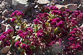 p1140281.jpg