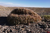 p1140284.jpg