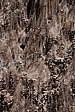 p1140333.jpg