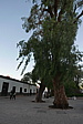 p1140398.jpg