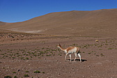 p1140549.jpg