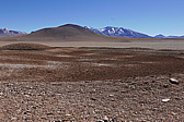 p1140577.jpg