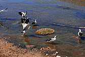 p1140614.jpg