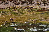 p1140619.jpg