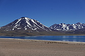 p1140651.jpg
