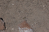 p1140652.jpg