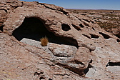 p1140666.jpg