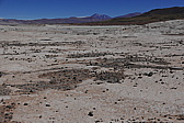 p1140714.jpg